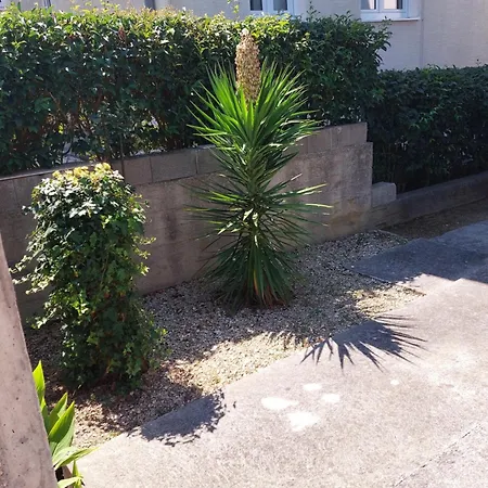 Borik Διαμέρισμα Ζαντάρ