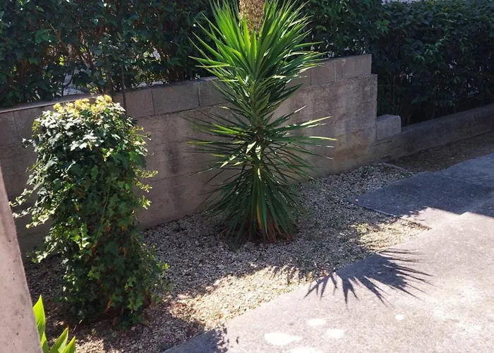 Borik شقة زادار